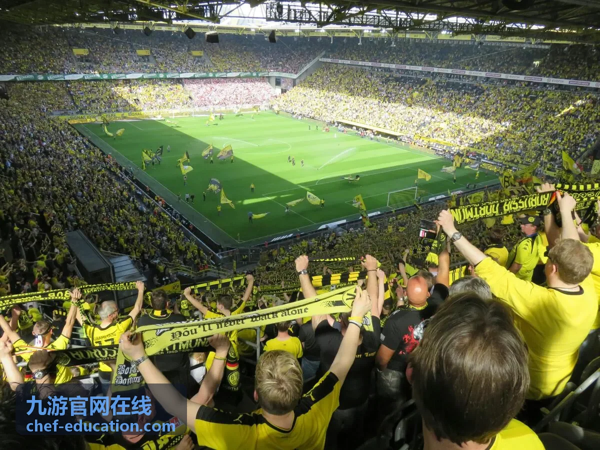 九游官网在线回放片段：阵容搭配对比