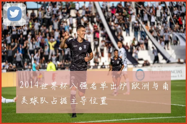 2014世界杯八强名单出炉 欧洲与南美球队占据主导位置